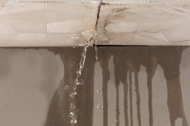 Professional Flood Damage Cleanup technician working in Adell, WI